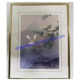 Framed Seagull Print. 11ï¿½x14ï¿½