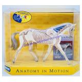 Breyer Traditional Anatomy in Motion