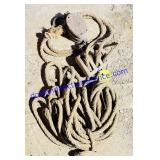 Pulley w/ Rope