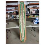 Diamond Back Rattle Snake Taxidermy