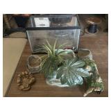Fish Tank With Fish Dï¿½cor 16 1/2 'length 10'