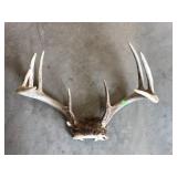Antlers