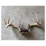 Antlers