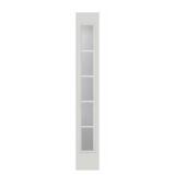 10 in. W x 66 in. H side door window