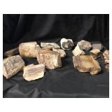 Petrified Wood (15 Pcs) 8 Lbs 14.3oz