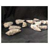 Horn Coral Fossils (15) 3lbs 5oz