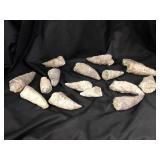 Horn Coral Fossils (15) 2lbs 11.4oz