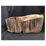 Petrified Wood 23lbs 11.5oz