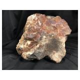 Petrified (agatized) Wood 16lbs 6.9oz