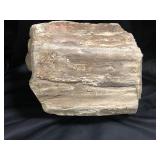 Petrified Wood 14lbs 10.2oz