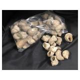 Seashells 1lb 2.1oz
