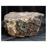 Petrified Wood 11lbs 9.8oz
