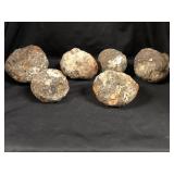 Thunderegg (vintage Stock) 12lbs 7.4oz