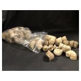 Sea Shells 1lb 1.6oz