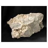 Celestine, Botryoidal, And Crystal On Limestone