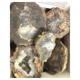 Thundereggs Halves Unpolished 9 Pounds 1.6 Ounces