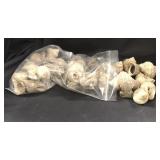 Sea Shells 1 Pound 3.2 Ounces