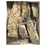 Turritella 9 Lbs 3.8 Oz