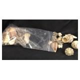 Mixed Seashells (36) Philippines 13.3 Oz