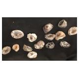 Brazil Geodes (12 Pcs) Polished Miniatures