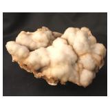 Agatized Coral Coldwater Agate 10.3 Oz