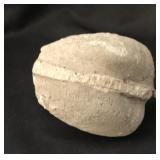 Megalomus Clam (fossil) Woodville, Oh