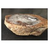 Thunderegg Polished, 5 Inches, 1 Lb. 11 Oz.