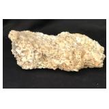 Coquina And Wampum, Fl