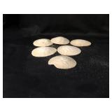 Fossilized sand dollars (6)