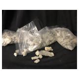 Fossils 4 pounds