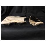 Petrified wood polished 3 pounds 9.3 ounces