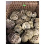 Thundereggs (whole) Oregon 20 lbs