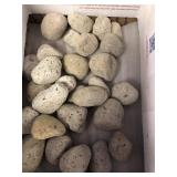 Pumice 1 pound .3 ounces