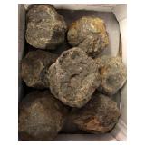 Friend ranch thundereggs (vintage) 11 lbs