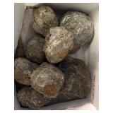 Friend ranch thundereggs 11 pounds