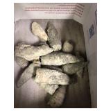 Corn coral fossils (15) 3 lbs 6.4 oz