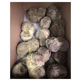 Thundereggs (vintage stock) Oregon 6 lbs 14.8 oz