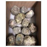 Thundereggs (vintage stock) Oregon 5 lbs 1.1 oz