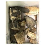 Petrified wood (15) 8 lbs 3.9 oz