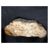 Petrified wood polished one side 6 pounds 13.2