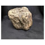 Petrified wood 9 pounds 4.7 ounces