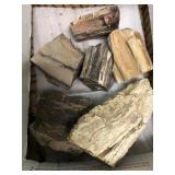 Petrified wood 5 pound 7.2 ounces