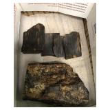 Petrified wood (rocks and slabs) 4 lbs 4.1 oz