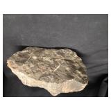 Petrified wood 7 pounds 13.1 ounces