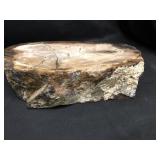 Petrified wood 11 pounds 2.3 ounces