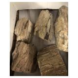 Petrified wood 7 pounds .3 ounces