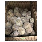 Thundereggs (whole) Oregon 20 lbs