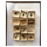 Mineral specimens assortment