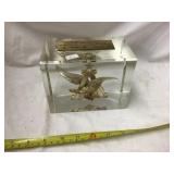 Budweiser 50 Million Barrels December 1980 Award