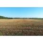 54+/- Acres offered in 3 Tracts!  Gorgeous Home - Cropland - Woods